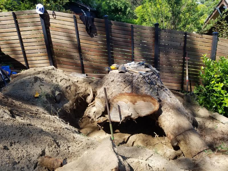 Tree & Stump Removal Work