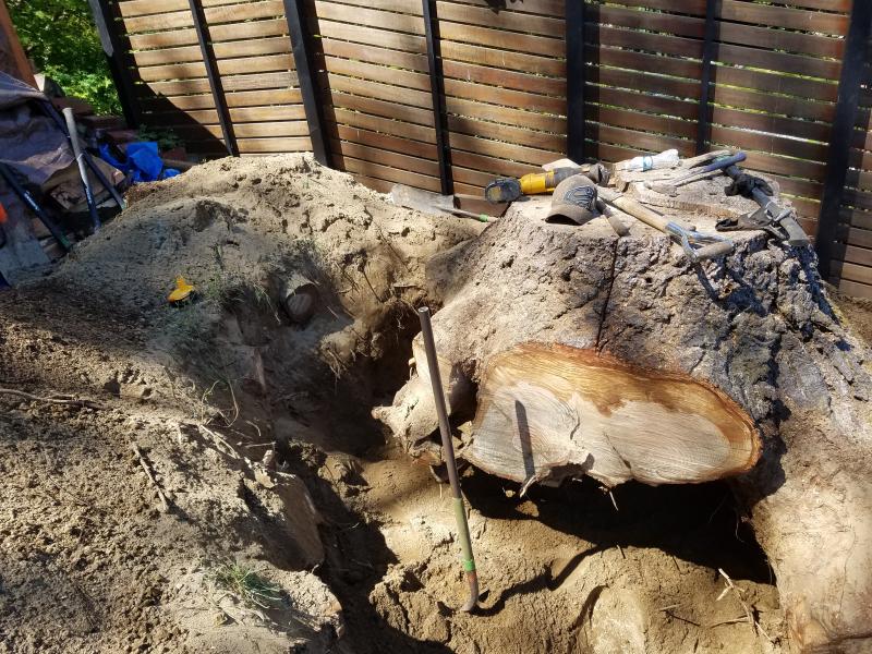 Tree & Stump Removal Work