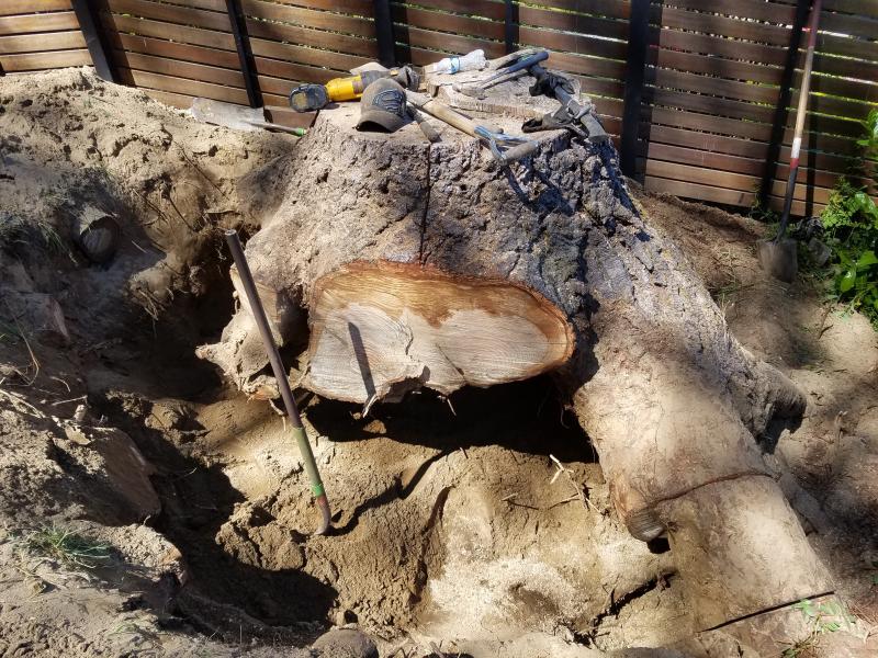 Tree & Stump Removal Work