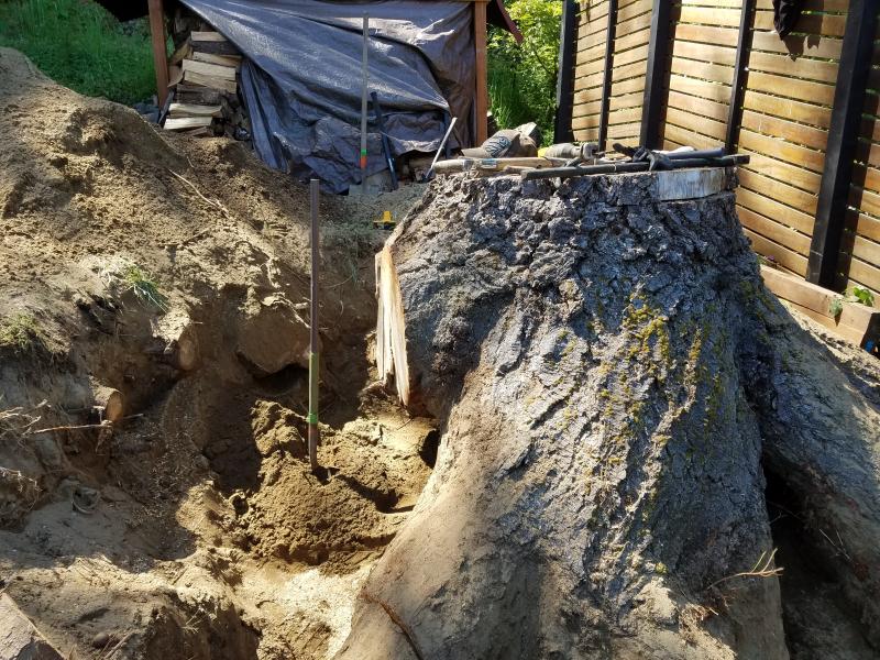 Tree & Stump Removal Work