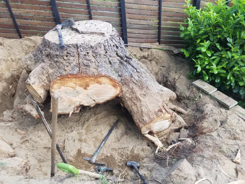 Tree & Stump Removal Work