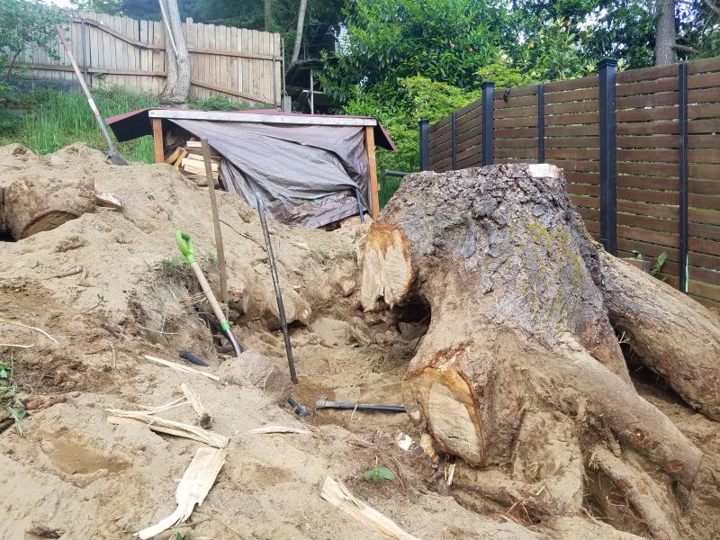 Tree & Stump Removal Work