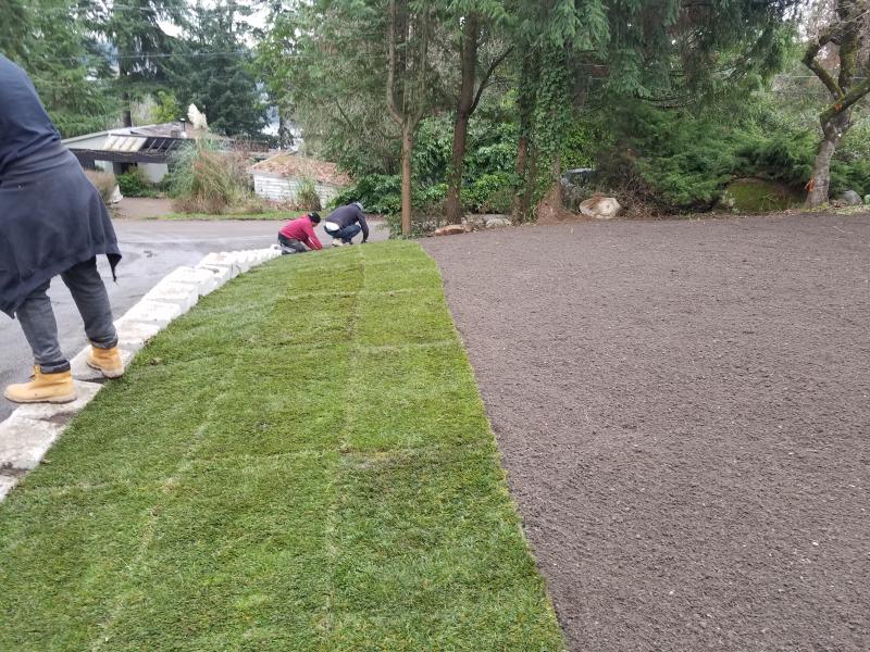 Hardscaping, Retaining Walls, Sod