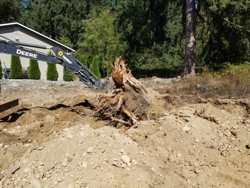 Land Clearing, Road Building