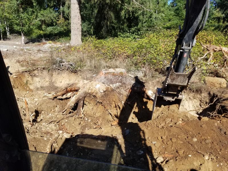 Land Clearing, Road Building