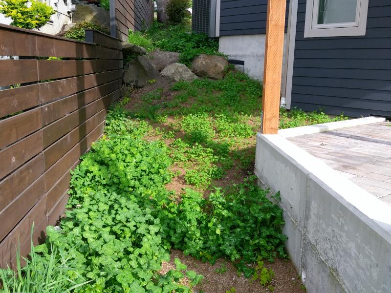  Retaining Walls, Regrading, Sod & Fence Installation.