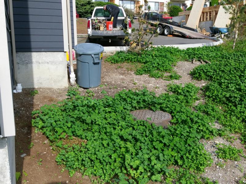  Retaining Walls, Regrading, Sod & Fence Installation.